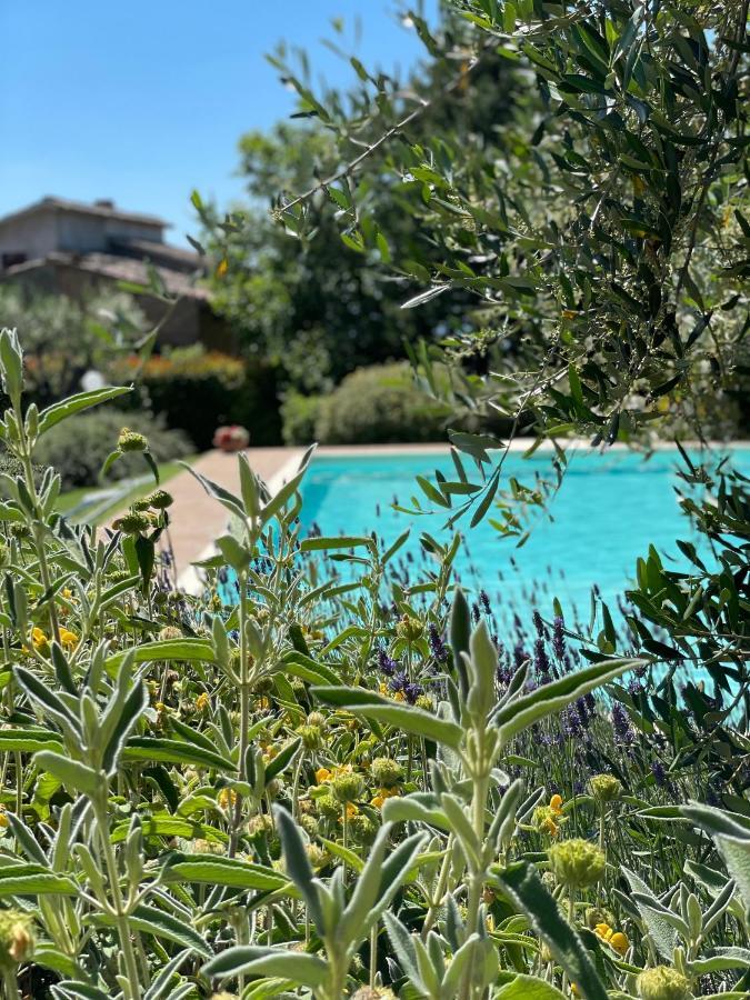 Apartment La Ginestra *