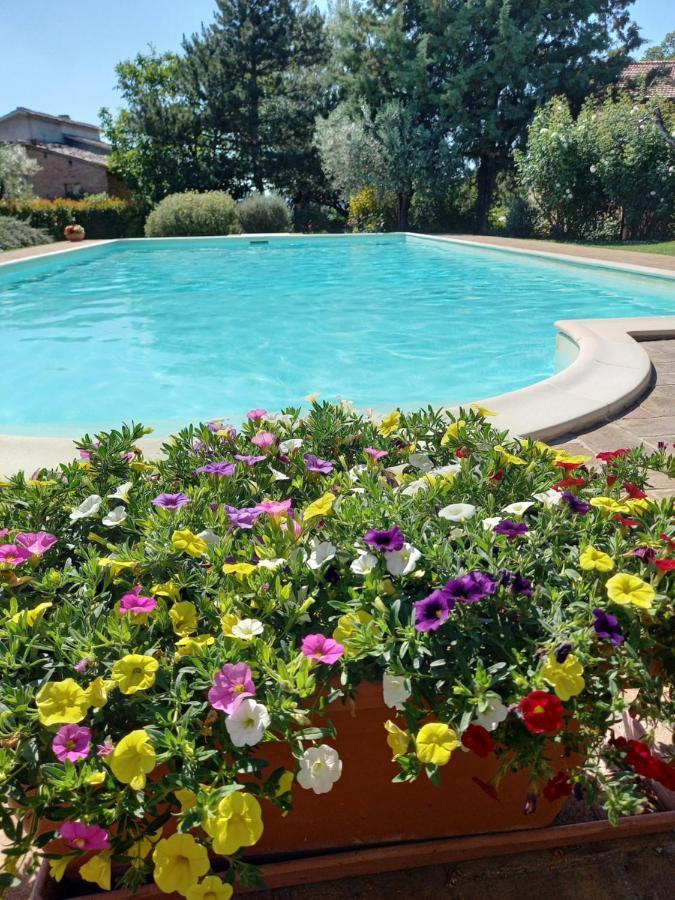 La Ginestra Apartment *