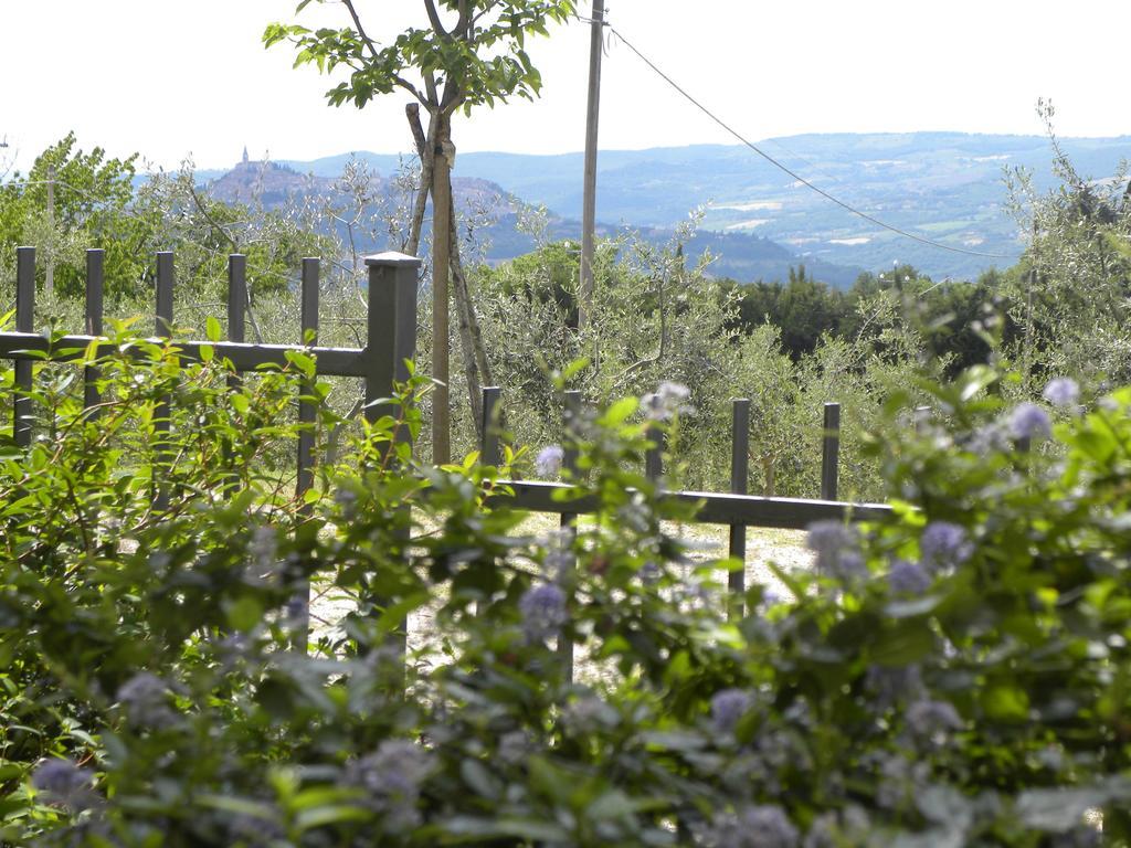La Ginestra * Todi