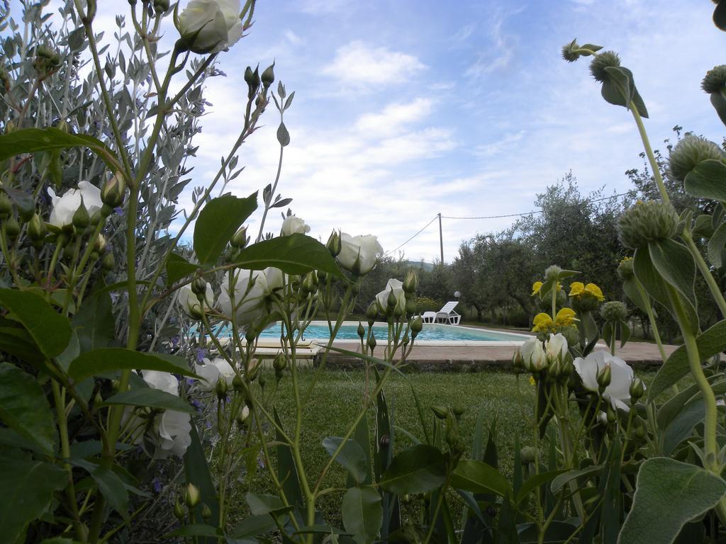 Apartment La Ginestra Todi