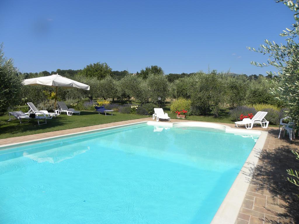 La Ginestra *
