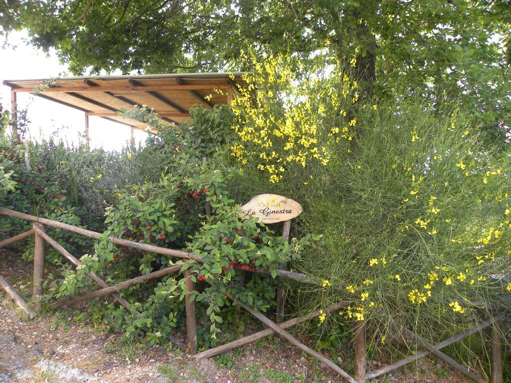 Apartment La Ginestra