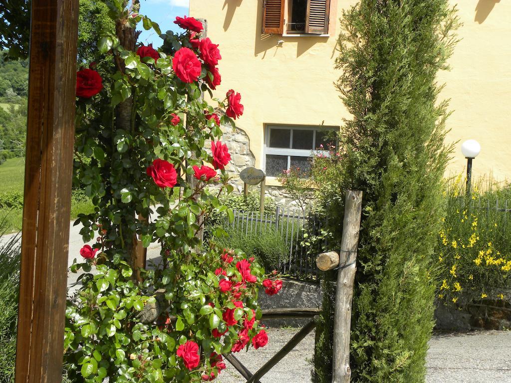 Apartment La Ginestra *