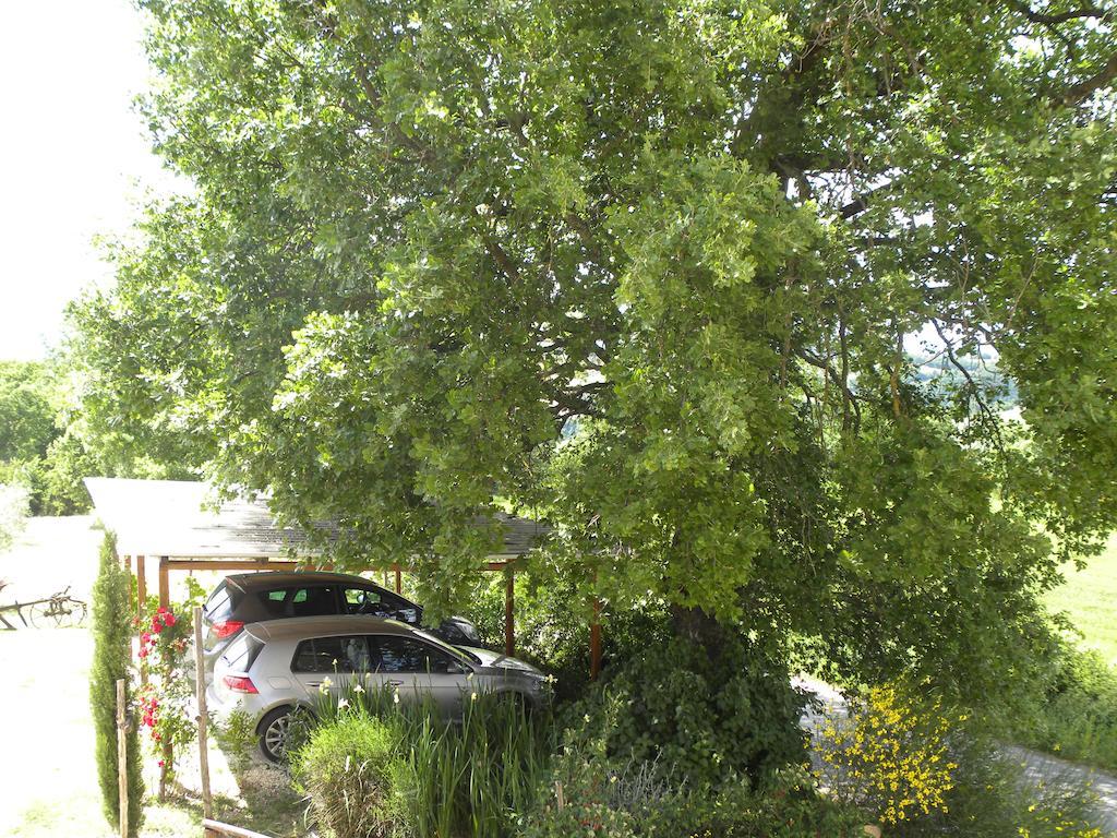 La Ginestra Apartment Todi