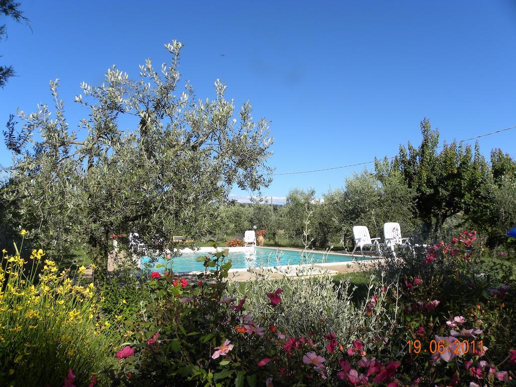 La Ginestra