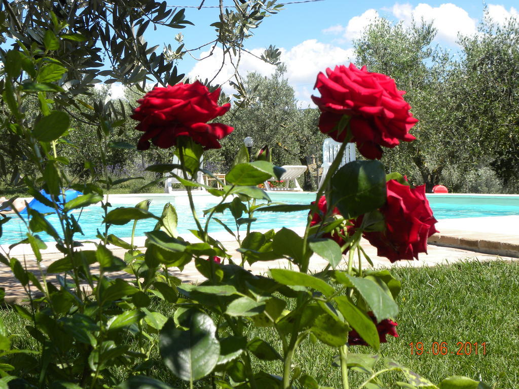 Apartment La Ginestra *