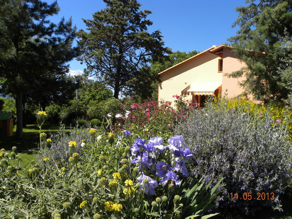 Apartment La Ginestra *